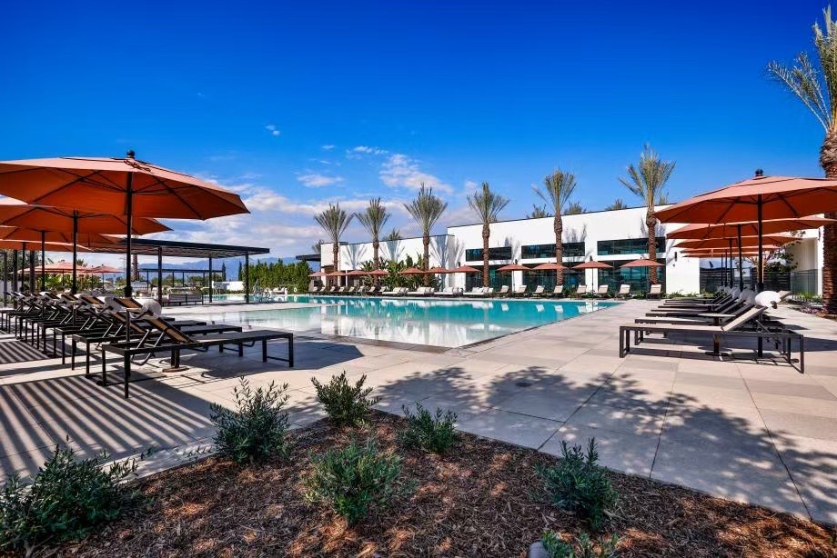 Outdoor pool area with palm trees and lounge chairs